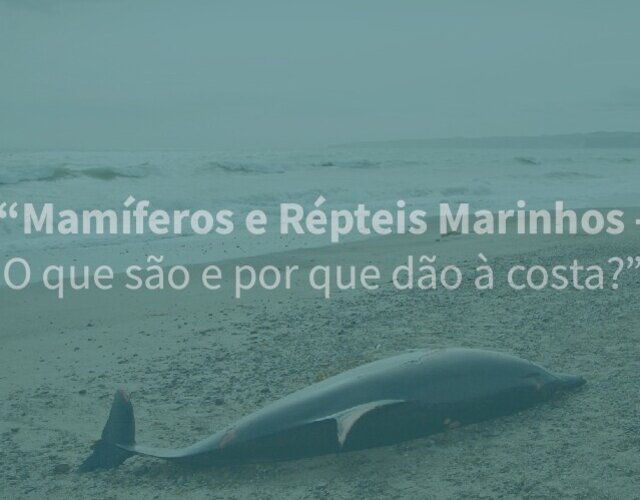 mamiferos_e_repteis_marinhos_eventos