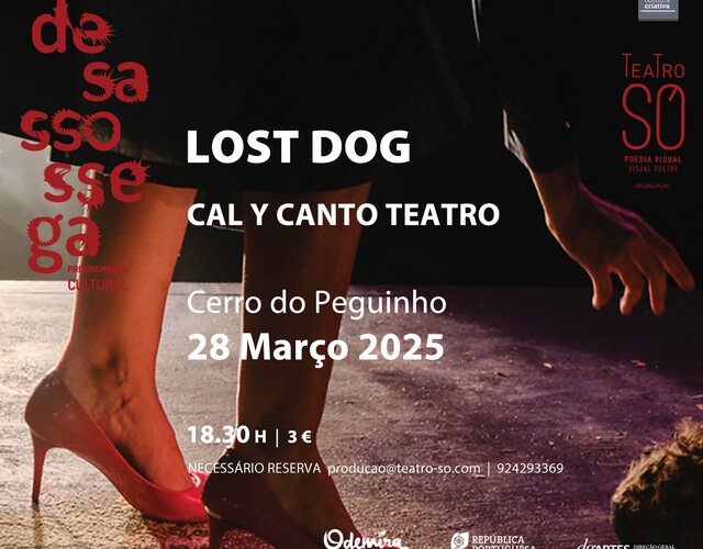 img_site_cmo_mar2025_4