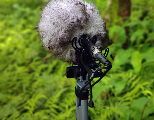 anexar_imagem_3_workshop_image2_2_